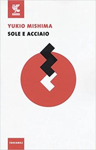 Copertina di Sole e acciaio